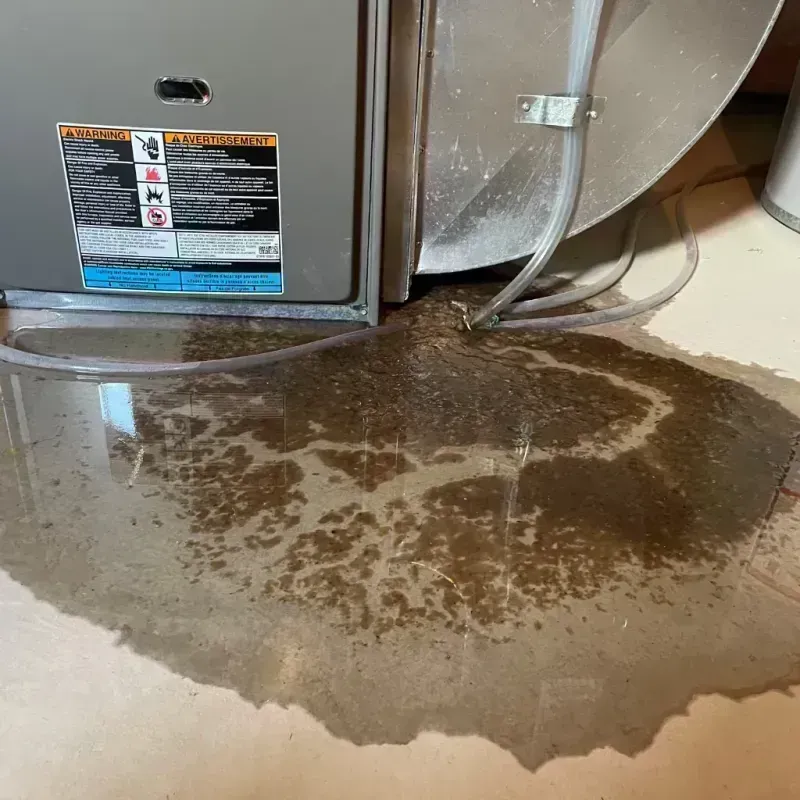 Appliance Leak Cleanup in Anadarko, OK